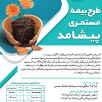 دریافت بیشترین میزان حقوق و مستمری ماهانه|خدمات مالی، حسابداری، بیمه|تهران, دانشگاه تهران|دیوار
