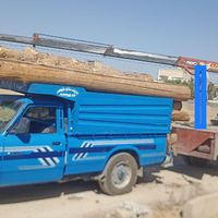 چوب بری و قطع و هرس کردن درخت و سر برداری|خدمات باغبانی و درختکاری|اصفهان, پارک مشتاق|دیوار