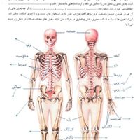 کتاب ۱۴۰۴ زیست حنیف عظیمی تاملند کلاسینو جزوه|کتاب و مجله آموزشی|تهران, میدان انقلاب|دیوار