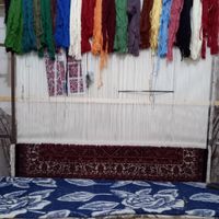 فرش فروشی دستبافت|فرش|شاهین دژ, |دیوار