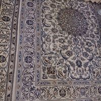 فرش دستباف ۶ متری|فرش|تهران, خواجه نصیر طوسی|دیوار