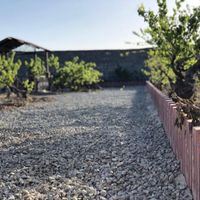 باغ قدیمی انگوری ۴۹۸ متر شهرکی|فروش زمین و کلنگی|تهران, نازی‌آباد|دیوار