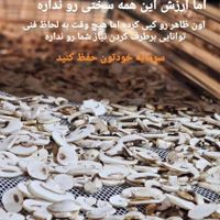 دستگاه خشک کن میوه سبزی +مشاوره|ماشین‌آلات صنعتی|قزوین, |دیوار