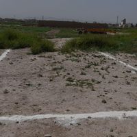 زمین فورشی گلشهر عشباد|فروش زمین و کلنگی|مشهد, شهید آوینی|دیوار