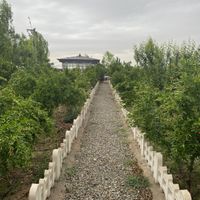 فروش باغ و زمین باغى داخل بافت|فروش زمین و کلنگی|تهران, شریف‌آباد|دیوار