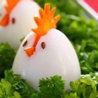 پخش وتوزیع تخم مرغ روزباسلام|ظروف نگهدارنده، پلاستیکی و یکبارمصرف|مشهد, ارشاد|دیوار