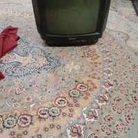 تلوزیون قدیمی۱۴اینچ|تلویزیون و پروژکتور|سراوان-سیستان و بلوچستان, |دیوار