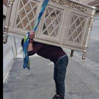 کارگراسباب کشی تنها تخلیه باراثاث منزل یخچال ساید|خدمات حمل و نقل|مشهد, قاسم‌آباد (شهرک غرب)|دیوار
