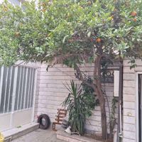 ملک 110متر/کامل بازسازی شده/قابل سکونت/3 طبقه|فروش زمین و ملک کلنگی|تهران, زاهد گیلانی|دیوار