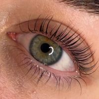 اکستنشن مژه|خدمات آرایشگری و زیبایی|تهران, شهرک شریعتی|دیوار