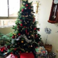 درخت کریسمس|کلکسیون و سرگرمی|نظرآباد, |دیوار