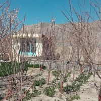 باغ سند دار مناسب ویلا، گلخانه و مصارف صنعتی|فروش زمین و کلنگی|اصفهان, کشاورزی|دیوار