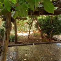 ویلا باغ سنتی بابابزرگ ۲۶۰ متری|فروش خانه و ویلا|اصفهان, تیران|دیوار