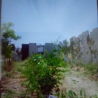 باغچه نقلی در درسون آباد|فروش زمین و کلنگی|باقرشهر, |دیوار