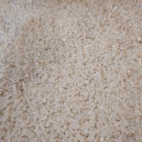 برنج نیم دانه معطر طارم هاشمی|خوردنی و آشامیدنی|بهشهر, |دیوار