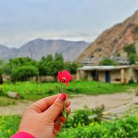 اقامتگاه بومگردی تاریشا سوئیت سوییت سویت ویلا باغ|اجارهٔ کوتاه‌مدت آپارتمان و سوئیت|ایذه, |دیوار