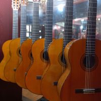 فروش انواع گیتار|گیتار، بیس و امپلیفایر|ارومیه, |دیوار