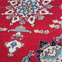 قالیچه دستبافت|فرش|اصفهان, لاله|دیوار