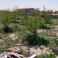 باغچه های نُقلی مزرعه جعفرآباد خُرم آباد|فروش زمین و کلنگی|نظرآباد, |دیوار