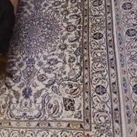 فرش دستباف ۶ متری|فرش|تهران, خواجه نصیر طوسی|دیوار