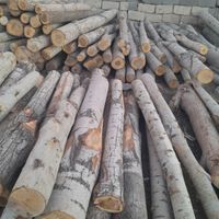 خرید انواع درخت و چوب های صنعتی و هیزمی|خدمات باغبانی و درختکاری|کرج, اخترآباد|دیوار