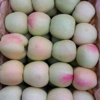 جذب سرمایه جهت صادرات میوه|استخدام مالی، حسابداری، حقوقی|ارومیه, |دیوار