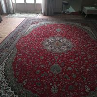 سالم بدون پارگی|فرش|اصفهان, خمینی‌شهر|دیوار
