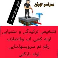 نشت یابی تشخیص ترکیدگی لوله کشی رفع نم بنایی|خدمات پیشه و مهارت|تهران, مهرآباد جنوبی|دیوار