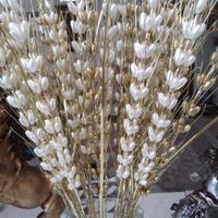 گل مصنوعی(گندم)|گل مصنوعی|تهران, بلورسازی|دیوار