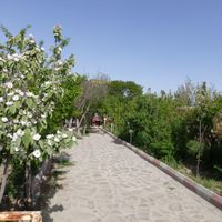باغ//تهاتر//معاوضه |فروش خانه و ویلا|مشهد, شهید هنرور|دیوار