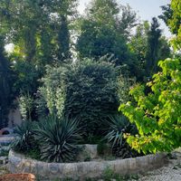 باغ ویلا مشتاق سوم زردنجان گاز برق مجوز|فروش خانه و ویلا|اصفهان, شهرک زاینده رود|دیوار