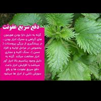درآمد زایی مخصوص بانوان خانه دار و شاغل|استخدام درمانی، زیبایی، بهداشتی|کرمانشاه, |دیوار
