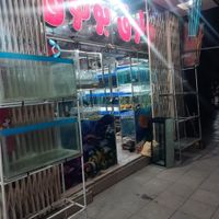 ۲۵ متر سند شش دانگ|فروش مغازه و غرفه|اصفهان, شهیش‌آباد|دیوار