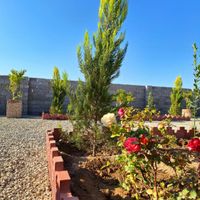 زمین و باغچه ۳۰۵ متر ۴دیوار دنج و با اصالت|فروش زمین و کلنگی|تهران, یافت‌آباد|دیوار