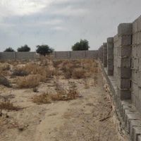 زمین چاهپیر|فروش زمین و کلنگی|بوشهر, |دیوار