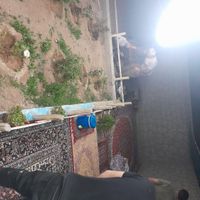 باغ ۳۰۰متری شیک ونقلی بادرختان ۲ساله بارده|فروش خانه و ویلا|اصفهان, جوزدان|دیوار