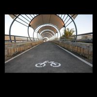 آموزش دوچرخه سواری تضمینی از مبتدی تا حرفه‌ای|خدمات آموزشی|مشهد, قاسم‌آباد (شهرک غرب)|دیوار