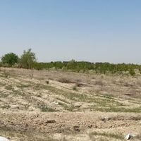 زمین کشاورزی(باغچه) با سند ۱۰۰۰متری|فروش زمین و کلنگی|تهران, کاشانک|دیوار