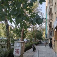 آپارتمان یکخوابه بر اصلی طالقانی|فروش آپارتمان|تهران, دانشگاه تهران|دیوار