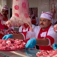 آموزش قصابی حرفه ای (Butcher Chef)+مدرک معتبر|خدمات آموزشی|تهران, آذری|دیوار