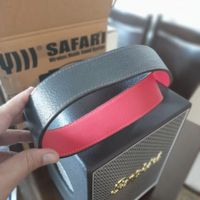 اکو همراه شارژی safari پرتابل باند اکتیو|سیستم صوتی خانگی|تهران, سازمان برنامه|دیوار