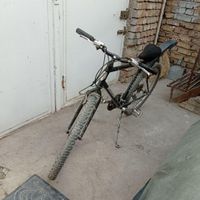 دوچرخه اسای دماوند کاملا سالم|دوچرخه، اسکیت، اسکوتر|ابریشم, |دیوار
