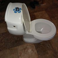 توالت فرنگی|لوازم سرویس بهداشتی|نور, |دیوار