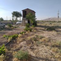 فروش زمین، باغ، باغچه در پیشوا ورامین|فروش زمین و کلنگی|تهران, حسن‌آباد|دیوار