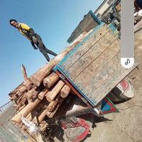 خریدار ضایعات چوب|عمده‌فروشی|تهران, آرژانتین|دیوار