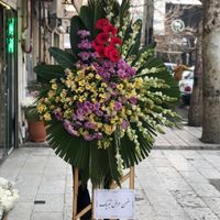 گل مراسم جشن با ترکیب شببو آلستر داوودی مینیاتور|گل و گیاه طبیعی|مشهد, ارشاد|دیوار