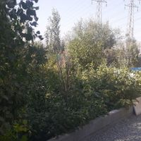 چهار دیواری اشرف اباد۲۶۰|فروش زمین و کلنگی|تهران, شهید آوینی|دیوار