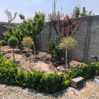 باغ ویلا زمین باغچه ویلایی|فروش زمین و کلنگی|تهران, خلیج فارس|دیوار