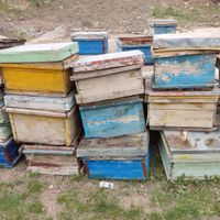 قوطی خالی کندوی زنبور عسل|لوازم جانبی مربوط به حیوانات|اهر, |دیوار