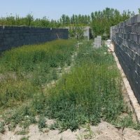زمین مناسب ویلا سازی|فروش زمین و کلنگی|تهران, سعیدآباد|دیوار
